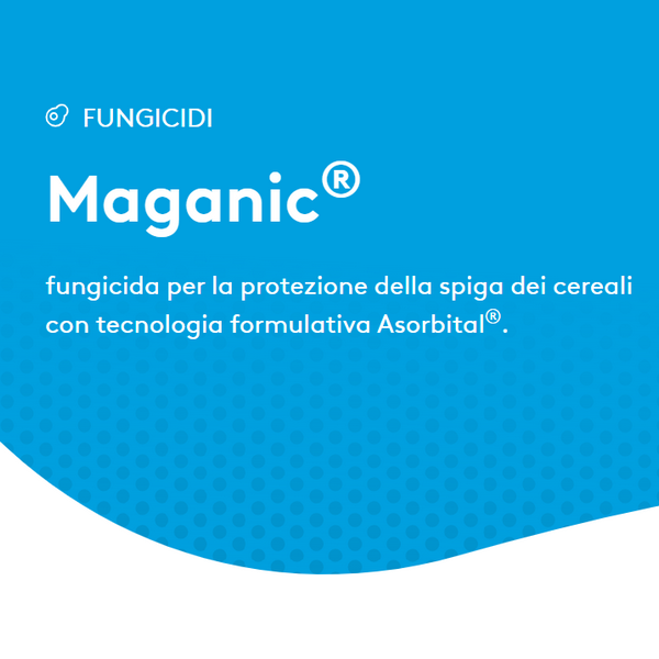 MAGANIC x 1 lt.