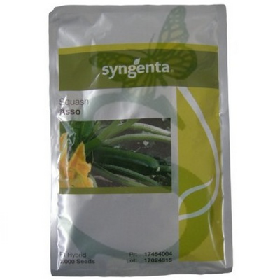 SYN2ZUC045 - ZUCCHINO ASSO -1000 semi-