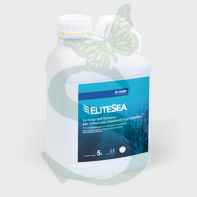 ELITESEA x 5 lt.