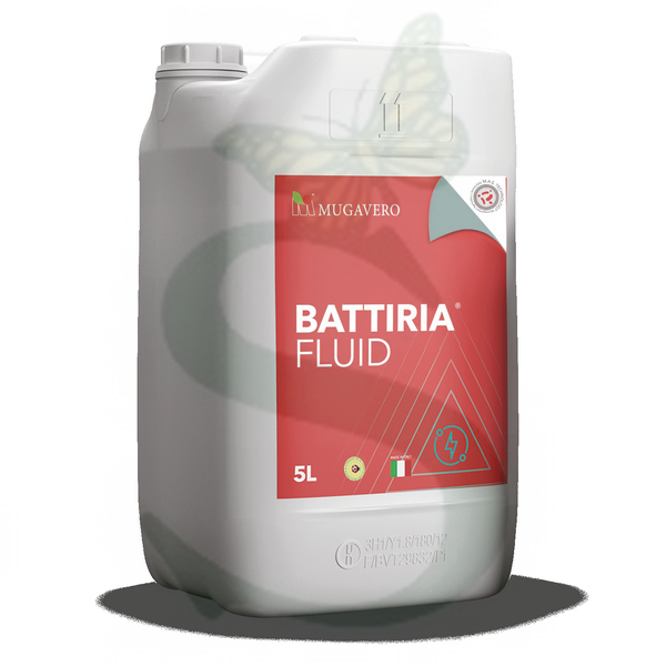 BATTIRIA FLUID -BIO- x 5 lt.
