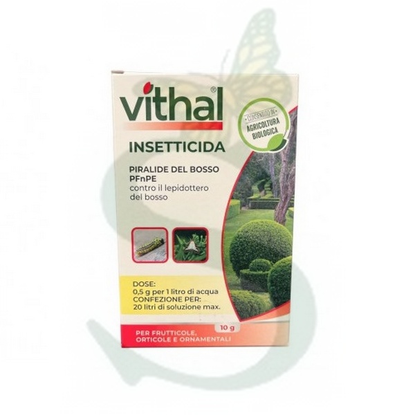 PIRALIDE DEL BOSSO 10 gr.