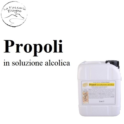 LFBPR500500 - PROPOLI in soluzione alcolica x 5 lt.