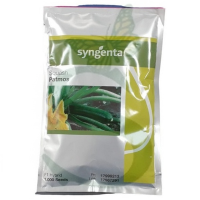 SYN2ZUC325 - ZUCCHINO PATMOS  -1000 semi-