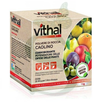 ITACA501000 - CAOLINO Vithal bio -BIO- 1 kg.