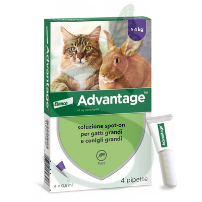 ELAEPAV200004 - ADVANTAGE SPOT-ON GATTI/CONIGLI 80. 4 pz