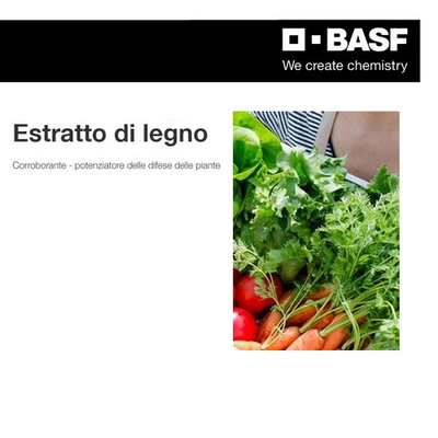 BASES751000 - ESTRATTO DI LEGNO -BIO- x 10 lt.