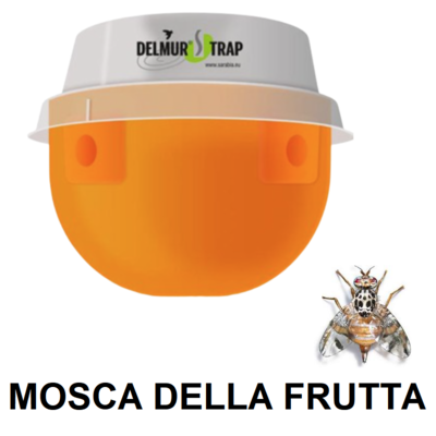 SIPDE40001 - DELMUR TRAP CERATITIS mosca frutta 1 pz