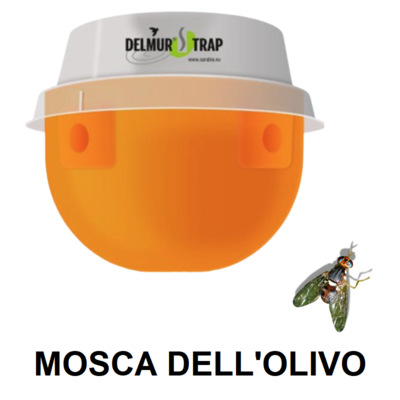 SIPDE50001 - DELMUR TRAP DACUS mosca dell'olivo 1 pz.