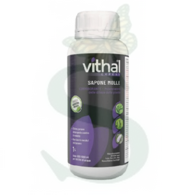 ITASA601000 - SAPONE MOLLE Vithal Expert -BIO- 1 lt.