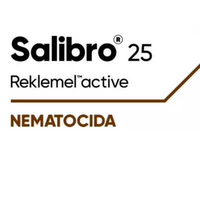 CORSA400100 - SALIBRO 25 x 1 lt.