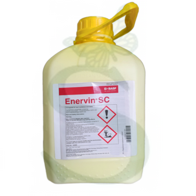 ENERVIN SC x 10 lt.