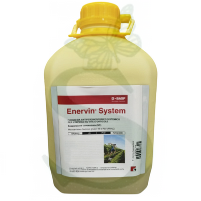 ENERVIN SYSTEM x 10 lt.