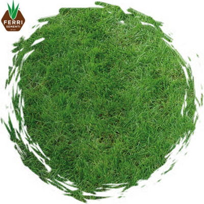 SEMI PRATO GOLF x 5 kg.