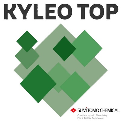 KYLEO TOP x 20 lt.