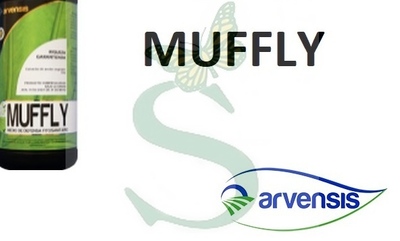 MUFFLY x 5 lt.