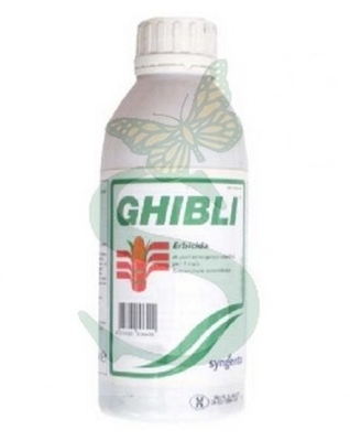 GHIBLI 240 OD x 250 ml.